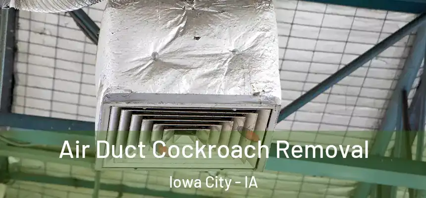 Air Duct Cockroach Removal Iowa City - IA