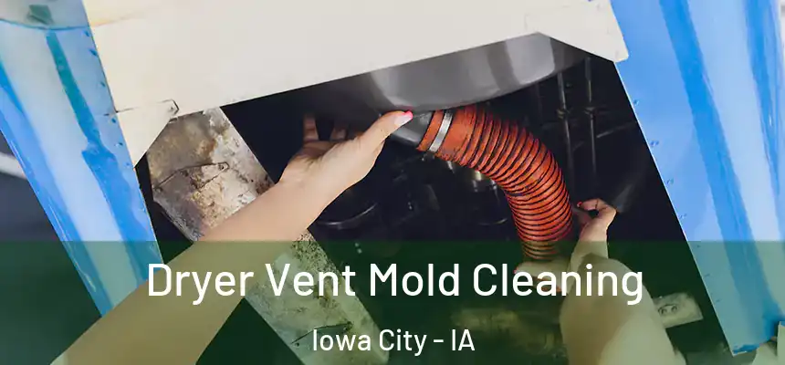 Dryer Vent Mold Cleaning Iowa City - IA