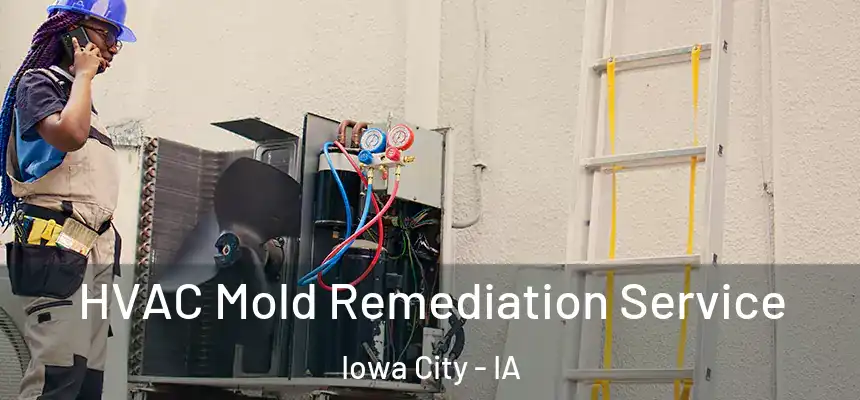 HVAC Mold Remediation Service Iowa City - IA