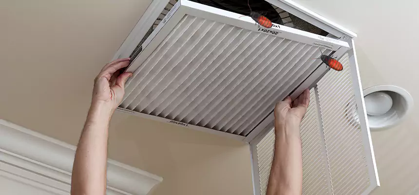 Preventive Cockroach-Proofing for Ducts in Iowa City