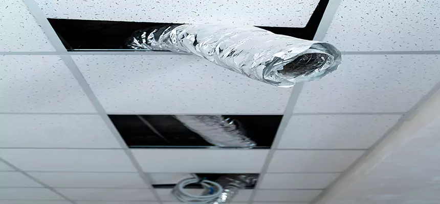 Our Air Duct Pet Hair Removal Services in Iowa City, IA