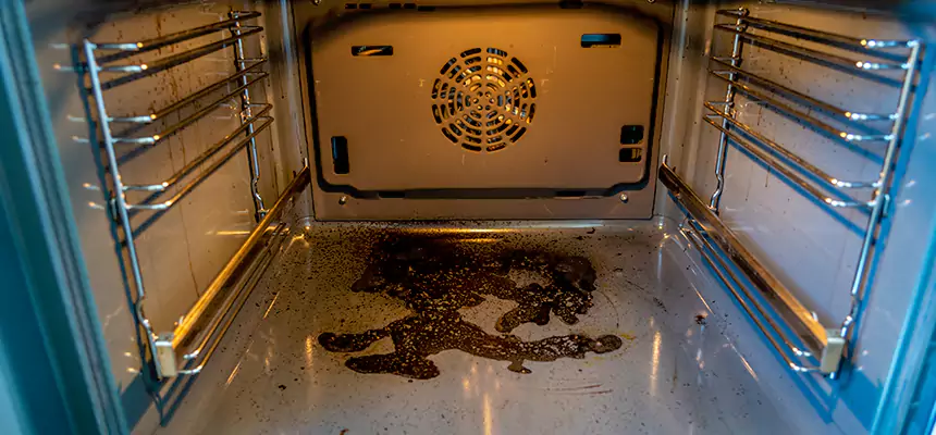 Our Dryer Vent Mold Cleaning Services in Iowa City, IA