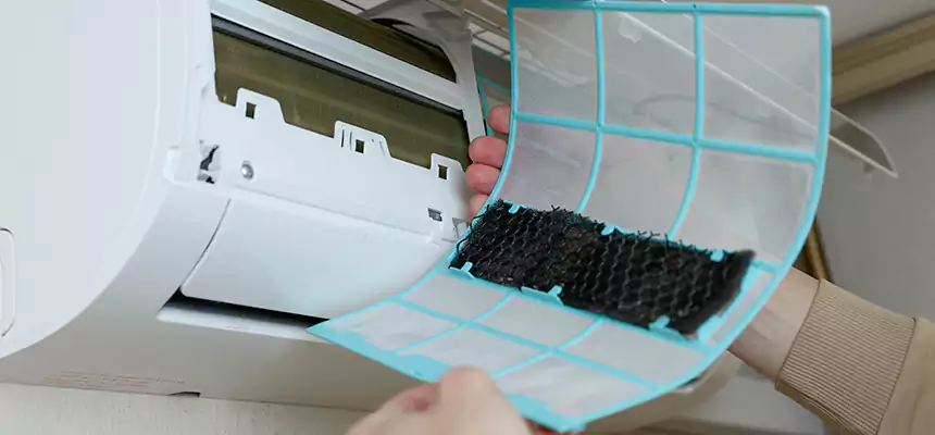 Gentle Ductwork Odor-Control Pet Dander Duct Cleaning in Iowa City, IA