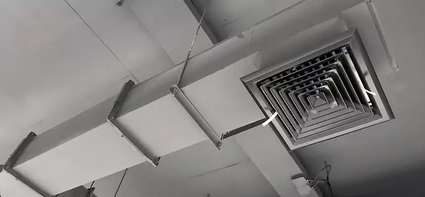 Our Rodent Droppings In Vents Services in Iowa City, IA