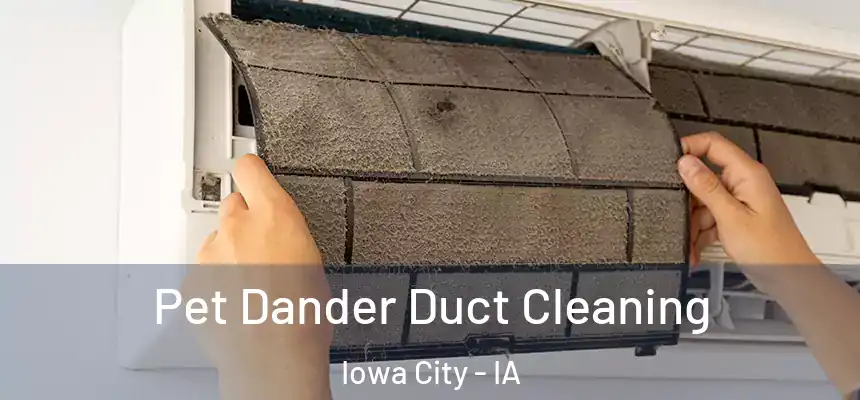 Pet Dander Duct Cleaning Iowa City - IA