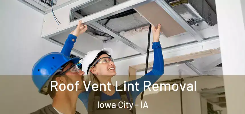 Roof Vent Lint Removal Iowa City - IA