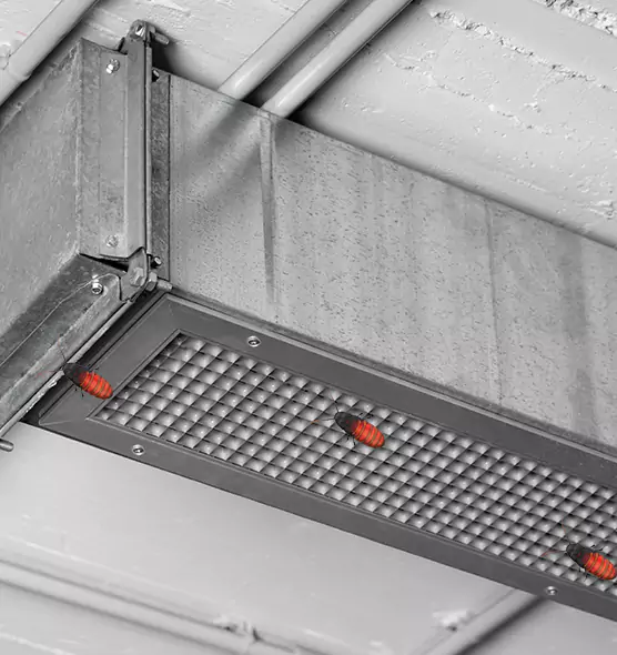 About Air Duct Cockroach Removal in Iowa City, IA