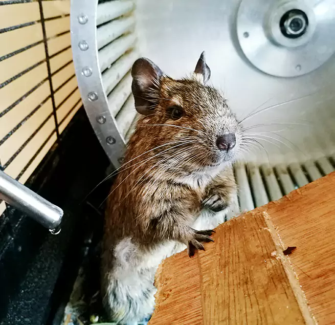 Why Homeowners & Businesses Trust Us Iowa City, IA?