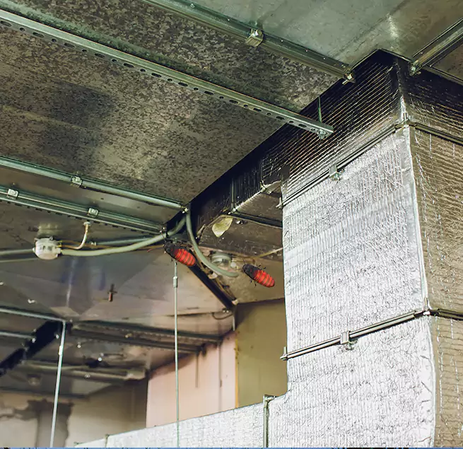 Why Homeowners & Businesses Trust Us Iowa City, IA?